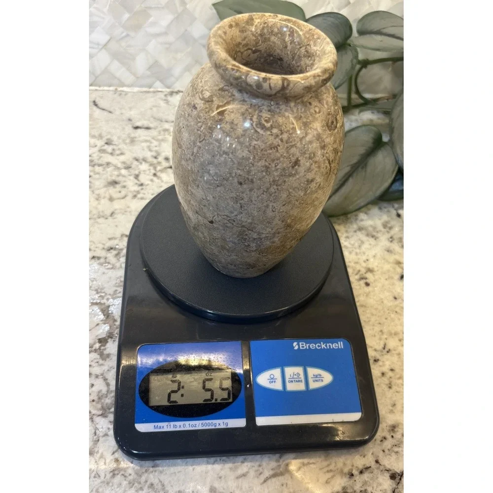 Pier One Tan Solid Stone Vase Fossilized Architectural Decor Office Brutalist‎